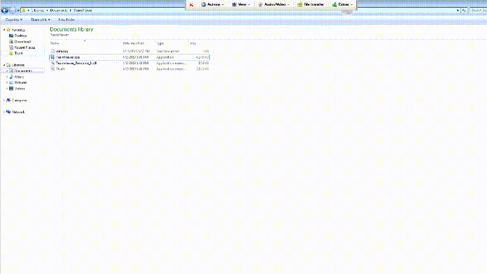 Remote demonstration of payload execution