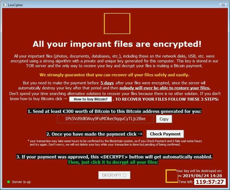 LooCipher Ransomware Decryptor   Get your files free   Cybers Guards - 11