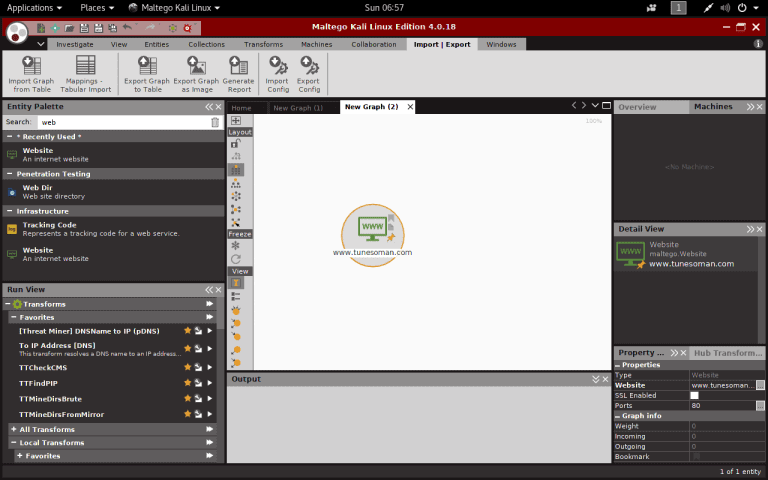 Perform Vulnerability Scanning with Maltego in Your Network   Cybers Guards - 23