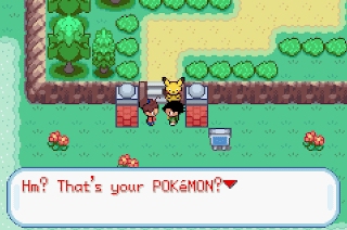 pokemon ashgray screenshot 4