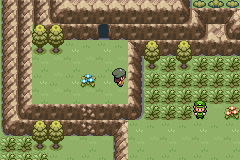 Pokemon Gaia ROM Download   Cybers Guards - 64