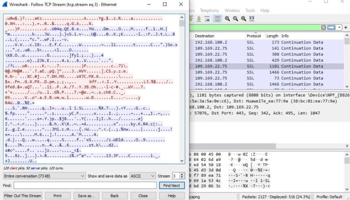 wireshark https gibberish