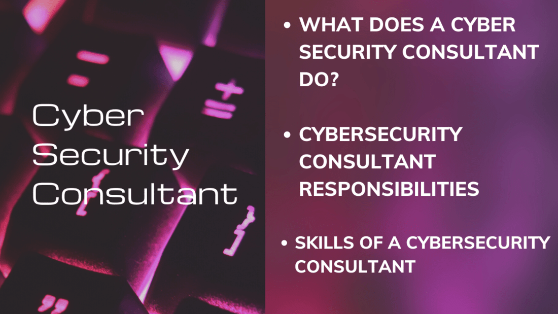 Cyber Security consultant