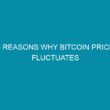reasons why bitcoin price fluctuates