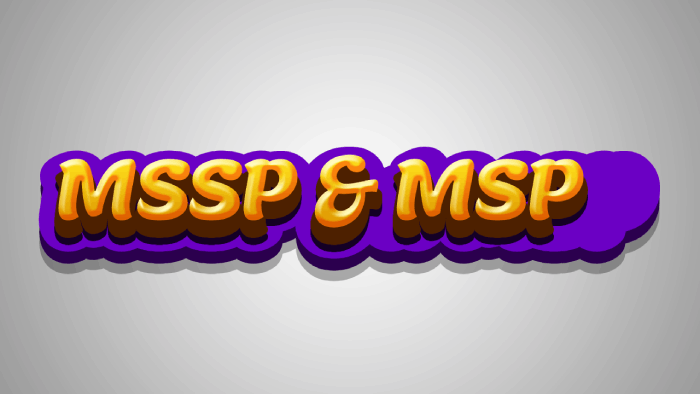 What is the Difference Between MSSP and MSP
