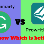 Which is better Grammarly Vs Prowritingaid
