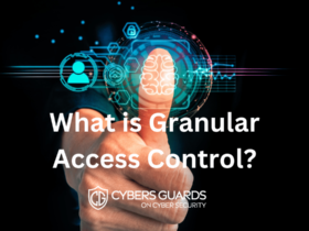 What is Granular Access Control