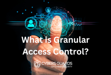 What is Granular Access Control