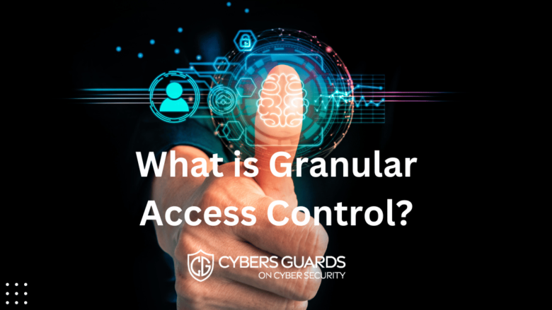 What is Granular Access Control